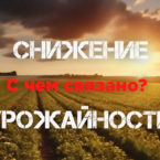 Снижение урожайности 2024 года. С чем связано?